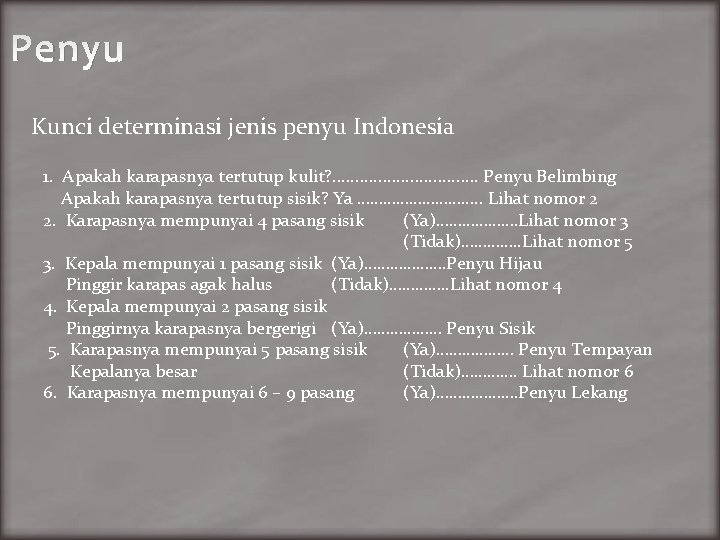Penyu Kunci determinasi jenis penyu Indonesia 1. Apakah karapasnya tertutup kulit? . . .