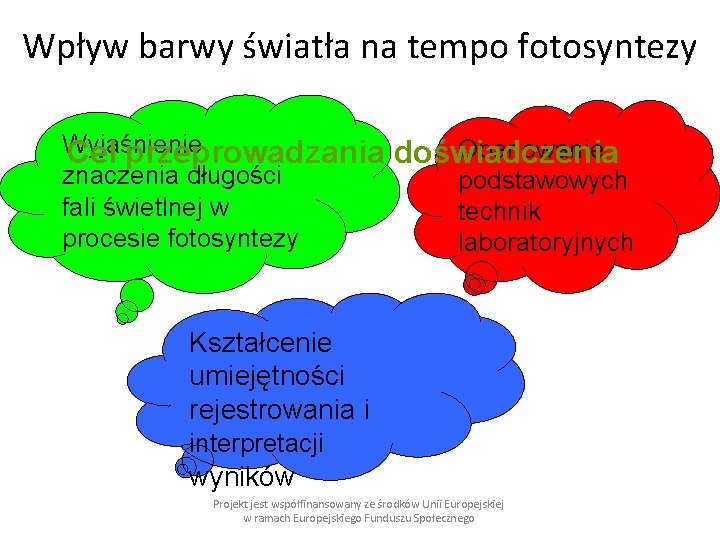 Wpływ barwy światła na tempo fotosyntezy Wyjaśnienie Cel przeprowadzania znaczenia długości fali świetlnej w