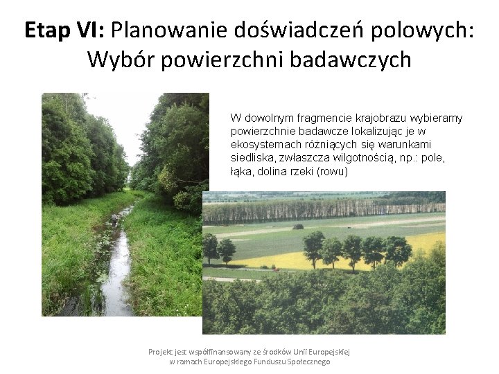 Etap VI: Planowanie doświadczeń polowych: Wybór powierzchni badawczych W dowolnym fragmencie krajobrazu wybieramy powierzchnie