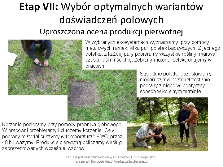 Etap VII: Wybór optymalnych wariantów doświadczeń polowych Uproszczona ocena produkcji pierwotnej W wybranych ekosystemach