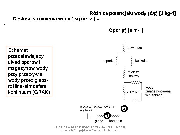 Różnica potencjału wody (Δφ) [J kg-1] Gęstość strumienia wody [ kg m-2 s-1] =