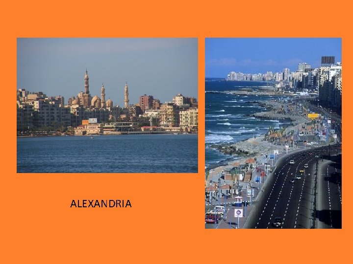 ALEXANDRIA 