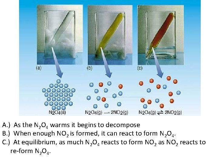 A. ) As the N 2 O 4 warms it begins to decompose B.