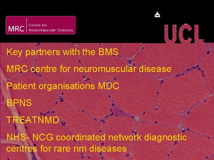 Key partners with the BMS MRC centre for neuromuscular disease Patient organisations MDC BPNS