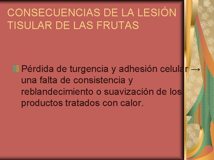 CONSECUENCIAS DE LA LESIÓN TISULAR DE LAS FRUTAS Pérdida de turgencia y adhesión celular