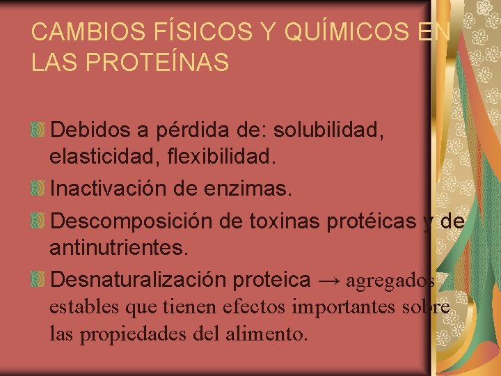 CAMBIOS FÍSICOS Y QUÍMICOS EN LAS PROTEÍNAS Debidos a pérdida de: solubilidad, elasticidad, flexibilidad.