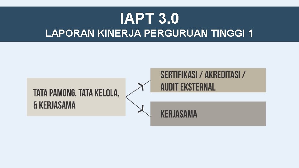 IAPT 3. 0 LAPORAN KINERJA PERGURUAN TINGGI 1 