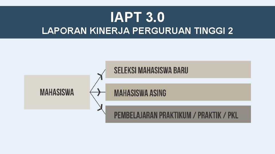 IAPT 3. 0 LAPORAN KINERJA PERGURUAN TINGGI 2 