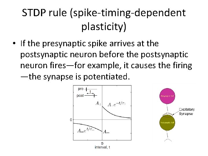 STDP rule (spike-timing-dependent plasticity) • If the presynaptic spike arrives at the postsynaptic neuron