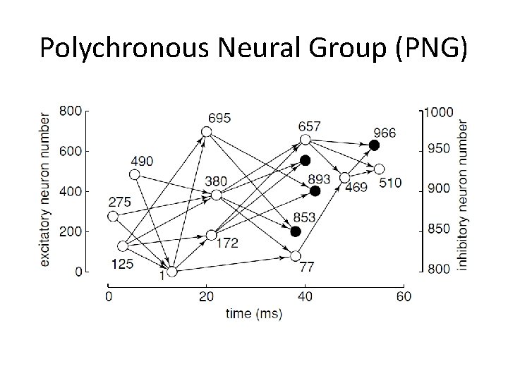 Polychronous Neural Group (PNG) 