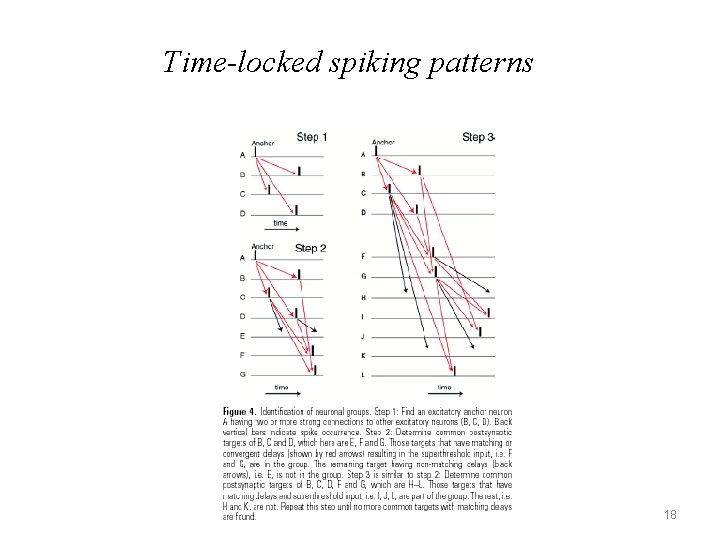 Time-locked spiking patterns 18 