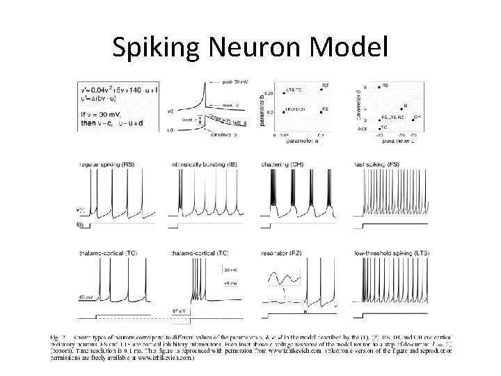 Spiking Neuron Model 