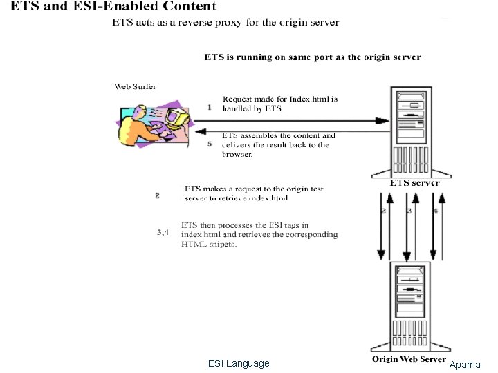 4 ESI Language Aparna 