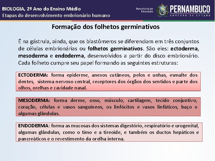 BIOLOGIA, 2º Ano do Ensino Médio Etapas do desenvolvimento embrionário humano Formação dos folhetos