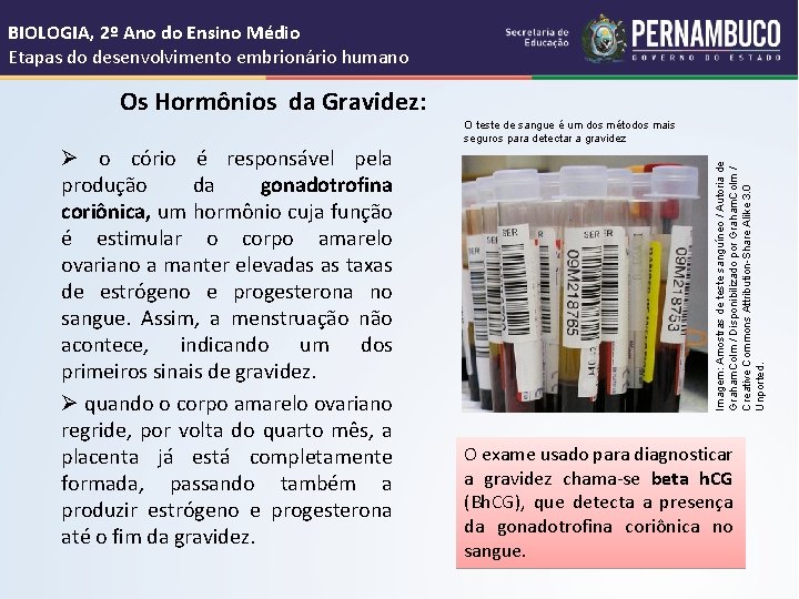 BIOLOGIA, 2º Ano do Ensino Médio Etapas do desenvolvimento embrionário humano Os Hormônios da