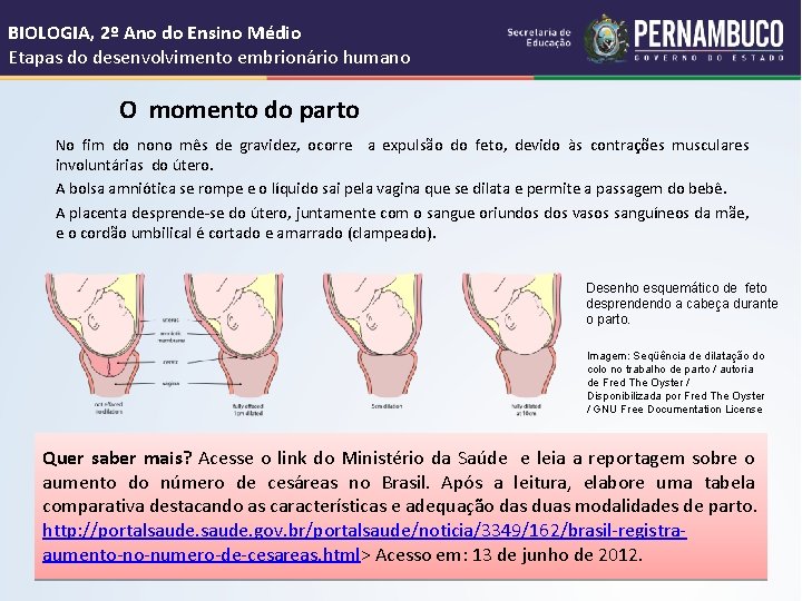 BIOLOGIA, 2º Ano do Ensino Médio Etapas do desenvolvimento embrionário humano O momento do
