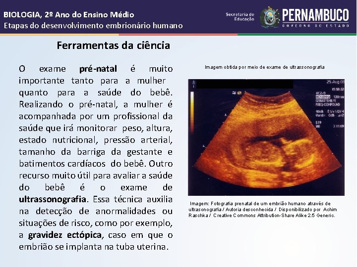 BIOLOGIA, 2º Ano do Ensino Médio Etapas do desenvolvimento embrionário humano Ferramentas da ciência