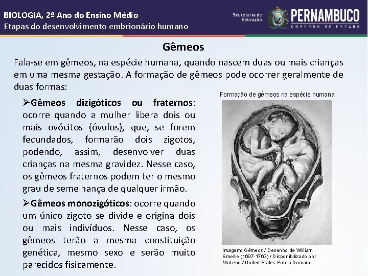 BIOLOGIA, 2º Ano do Ensino Médio Etapas do desenvolvimento embrionário humano Gêmeos Fala-se em
