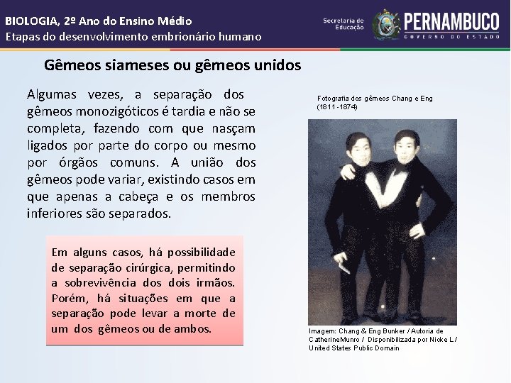 BIOLOGIA, 2º Ano do Ensino Médio Etapas do desenvolvimento embrionário humano Gêmeos siameses ou