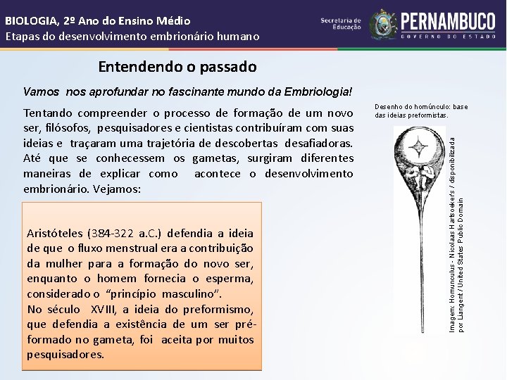 BIOLOGIA, 2º Ano do Ensino Médio Etapas do desenvolvimento embrionário humano Entendendo o passado
