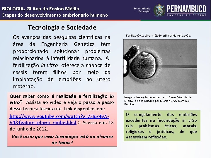 BIOLOGIA, 2º Ano do Ensino Médio Etapas do desenvolvimento embrionário humano Tecnologia e Sociedade