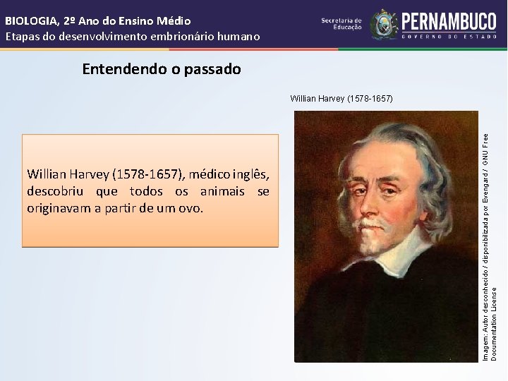 BIOLOGIA, 2º Ano do Ensino Médio Etapas do desenvolvimento embrionário humano Entendendo o passado