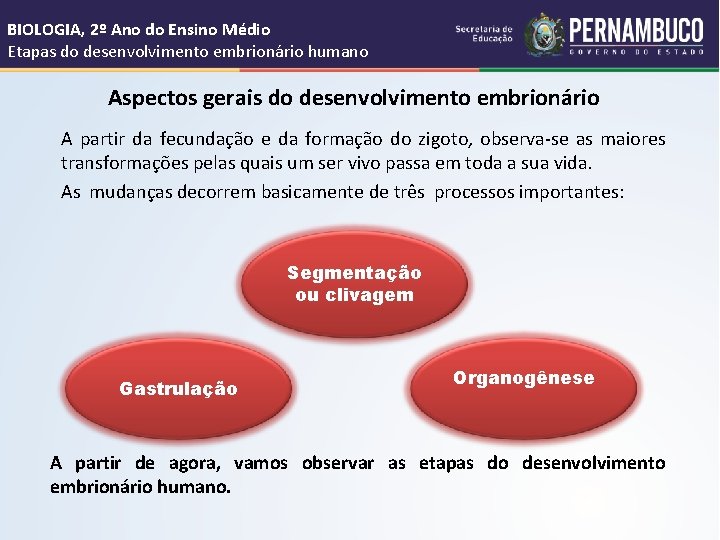 BIOLOGIA, 2º Ano do Ensino Médio Etapas do desenvolvimento embrionário humano Aspectos gerais do