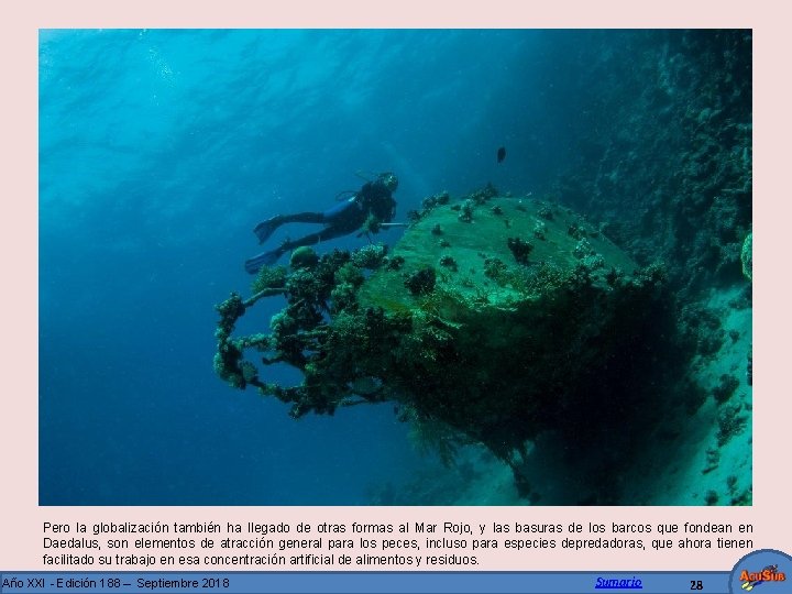 Pero la globalización también ha llegado de otras formas al Mar Rojo, y las