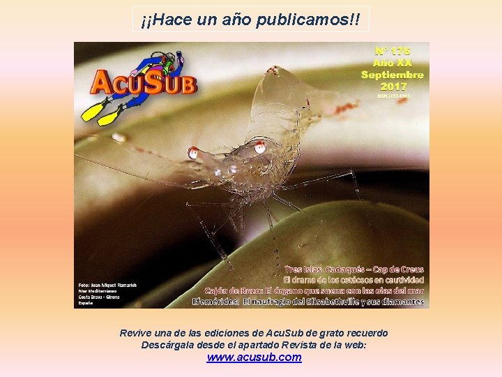 ¡¡Hace un año publicamos!! Revive una de las ediciones de Acu. Sub de grato