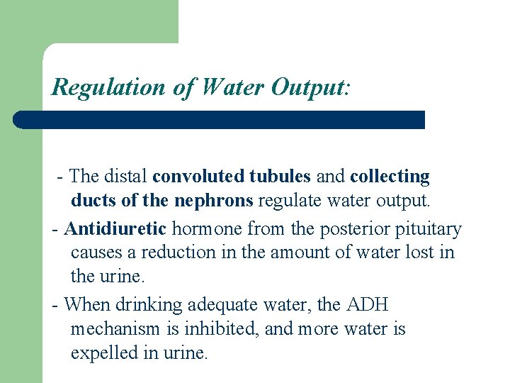 Regulation of Water Output: - The distal convoluted tubules and collecting ducts of the