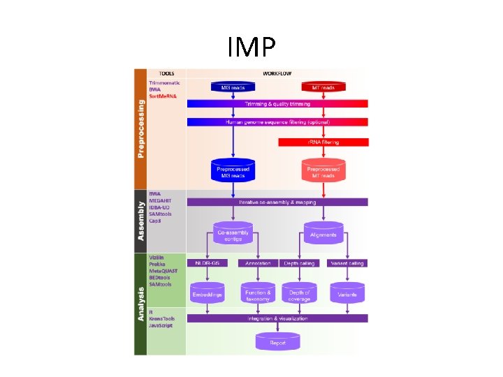 IMP 