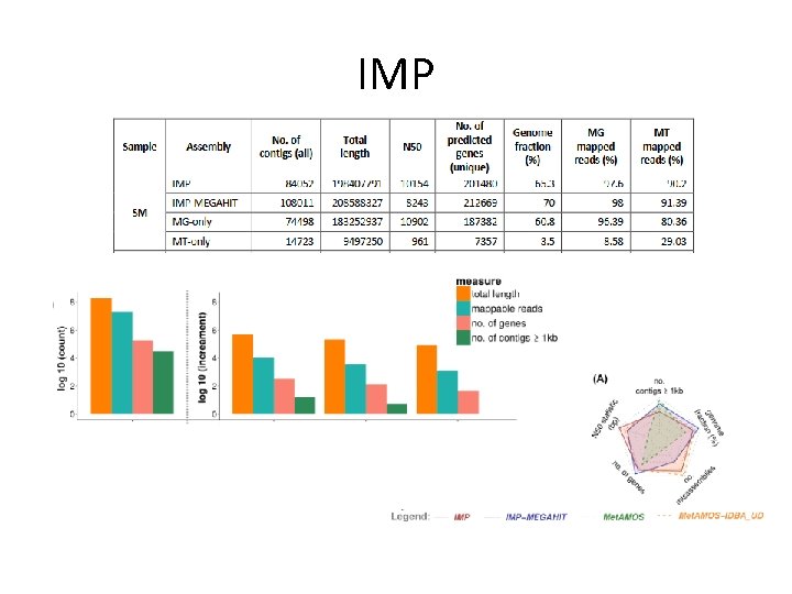 IMP 