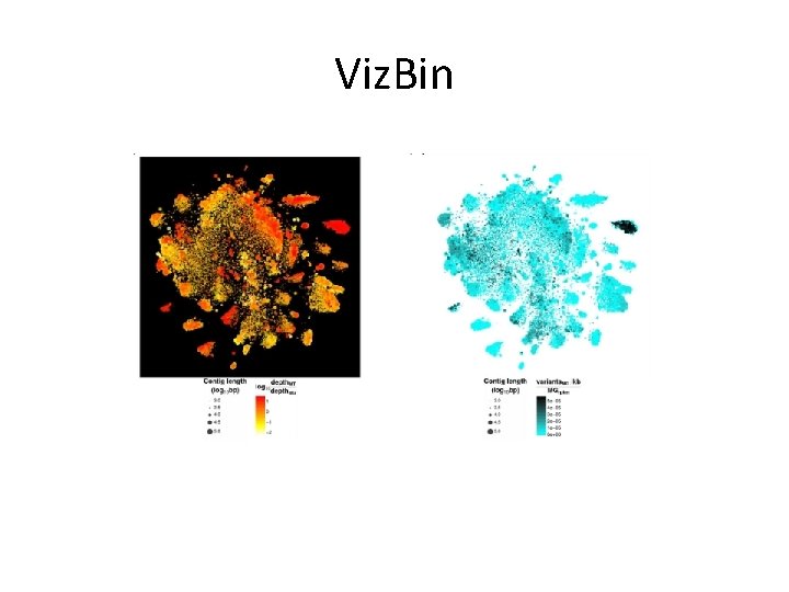 Viz. Bin 