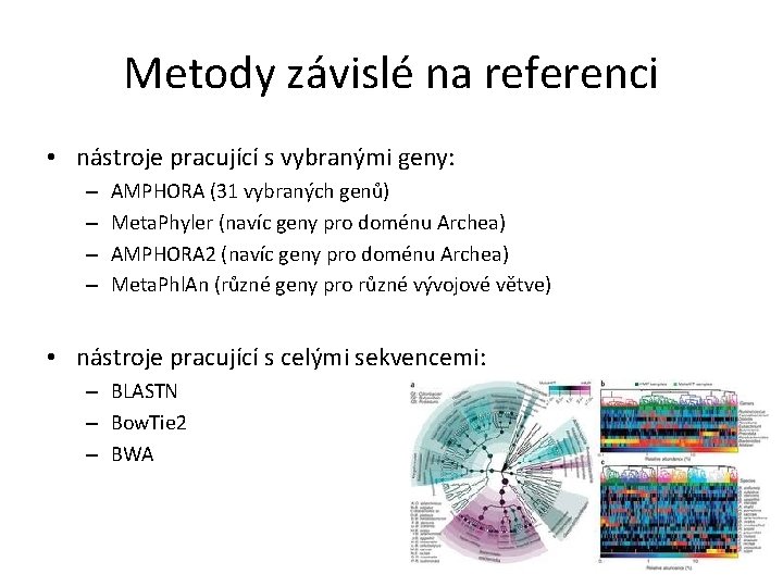 Metody závislé na referenci • nástroje pracující s vybranými geny: – – AMPHORA (31