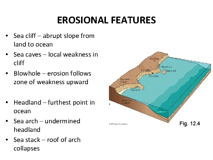 EROSIONAL FEATURES • Sea cliff – abrupt slope from land to ocean • Sea