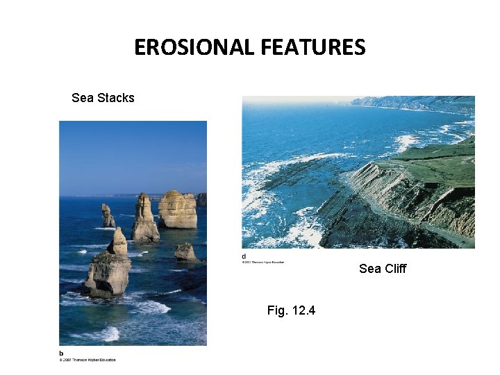 EROSIONAL FEATURES Sea Stacks Sea Cliff Fig. 12. 4 