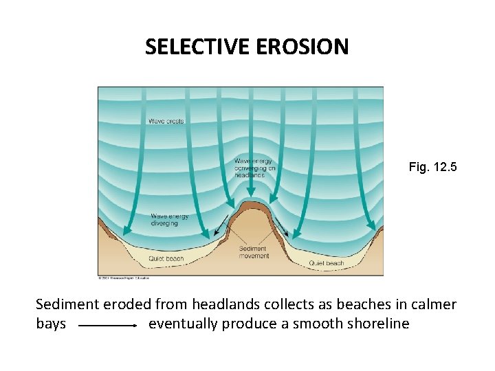 SELECTIVE EROSION Fig. 12. 5 Sediment eroded from headlands collects as beaches in calmer