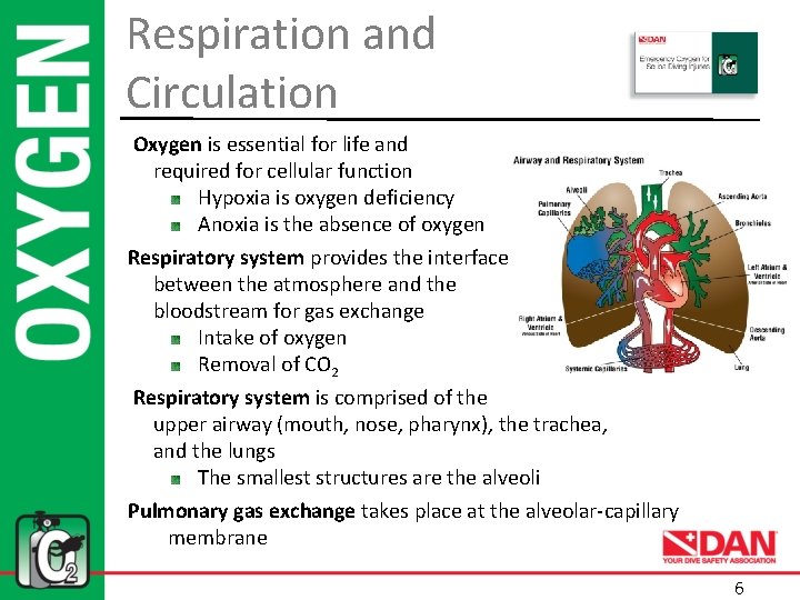 Respiration and Circulation Oxygen is essential for life and required for cellular function Hypoxia