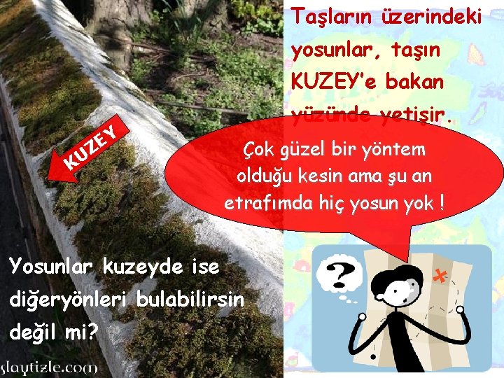 Taşların üzerindeki yosunlar, taşın KUZEY’e bakan Y E Z KU yüzünde yetişir. Çok güzel