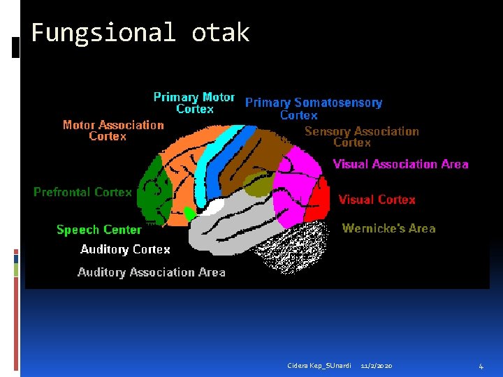 Fungsional otak Cidera Kep_SUnardi 11/2/2020 4 