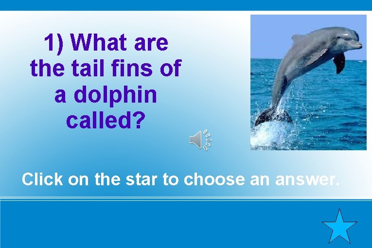 1) What are the tail fins of a dolphin called? Click on the star