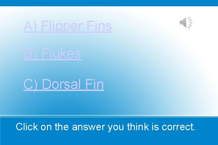 A) Flipper Fins B) Flukes C) Dorsal Fin Click on the answer you think