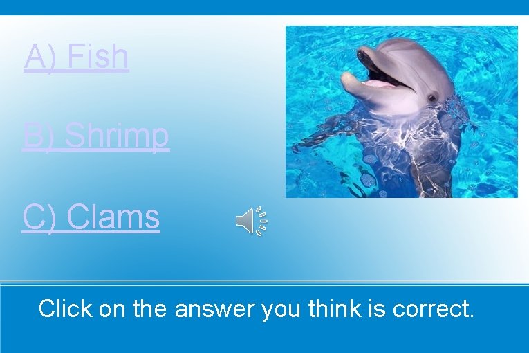 A) Fish B) Shrimp C) Clams Click on the answer you think is correct.