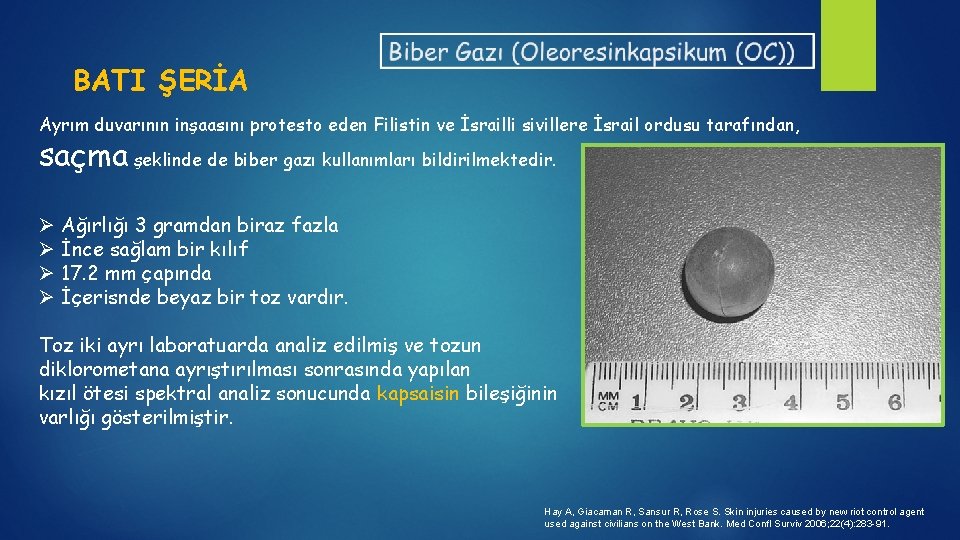 BATI ŞERİA Ayrım duvarının inşaasını protesto eden Filistin ve İsrailli sivillere İsrail ordusu tarafından,