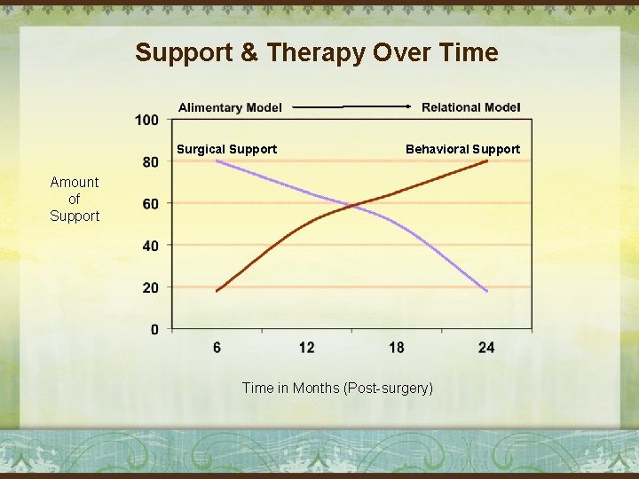 Support & Therapy Over Time Surgical Support Behavioral Support Amount of Support Time in