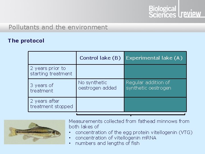 Pollutants and the environment The protocol Control lake (B) Experimental lake (A) 2 years Pollutants and the environment The protocol Control lake (B) Experimental lake (A) 2 years