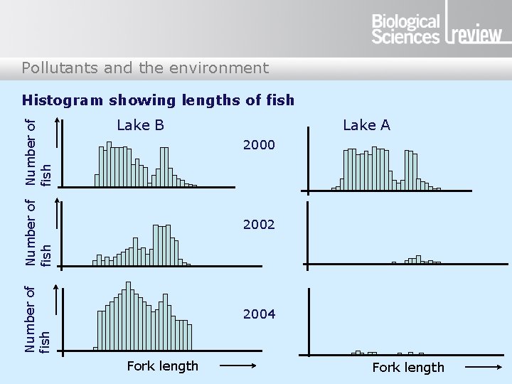 Pollutants and the environment Lake B Lake A 2000 2002 Number of fish Histogram Pollutants and the environment Lake B Lake A 2000 2002 Number of fish Histogram