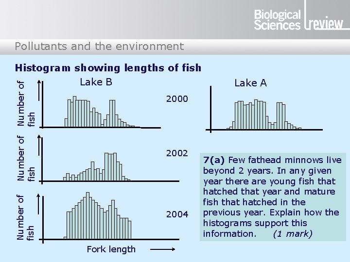 Pollutants and the environment Number of fish Histogram showing lengths of fish Lake B Pollutants and the environment Number of fish Histogram showing lengths of fish Lake B