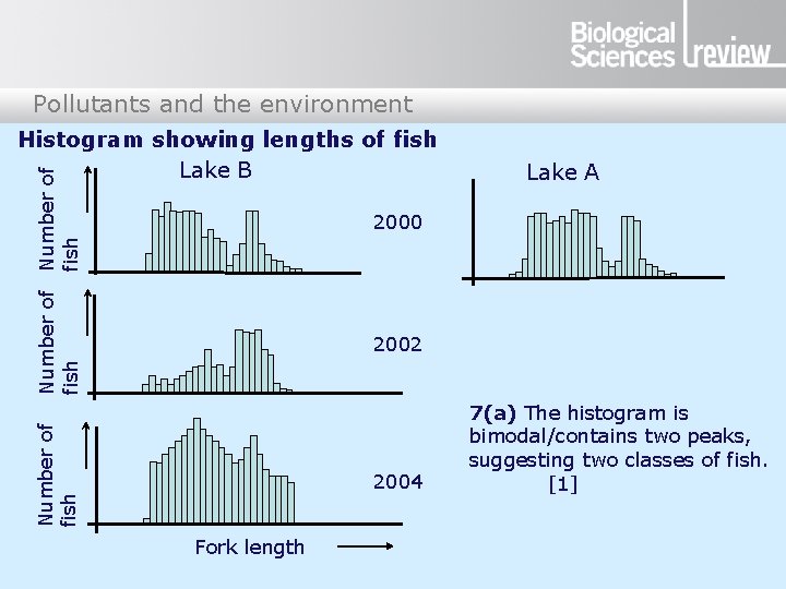 Pollutants and the environment Number of fish Histogram showing lengths of fish Lake B Pollutants and the environment Number of fish Histogram showing lengths of fish Lake B