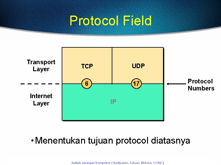 Protocol Field Transport Layer UDP TCP 6 Internet Layer 17 Protocol Numbers IP •